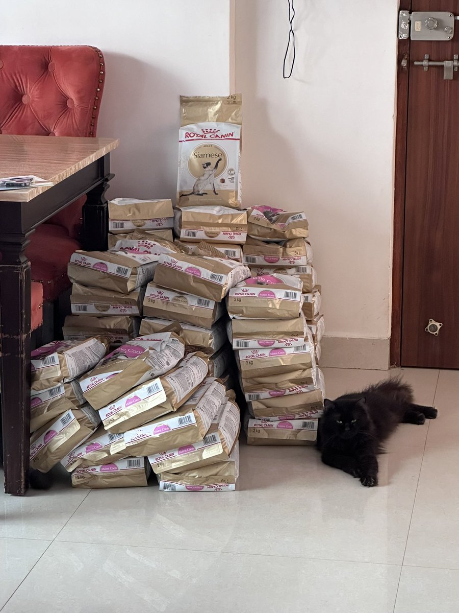 Lovely Ghosh tweet media