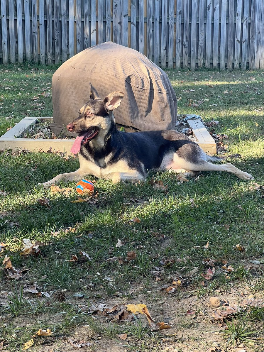 ChrisWakeeta's tweet photo. She is a handful but we love her https://t.co/D3jv6cFlgi