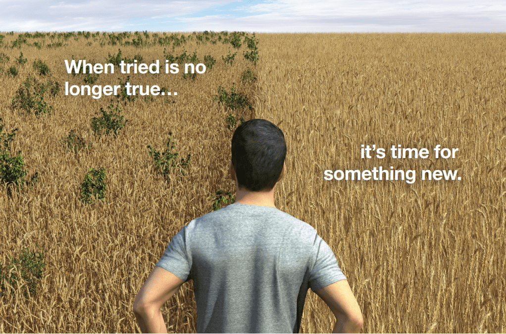 It's not just about weed control, it's about the future of your farm.
Talinor™ is a post-emergent broadleaf herbicide for cereals with consistent, fast-acting control of your toughest weeds, including resistant biotypes. Get the details: bit.ly/3tt81ou