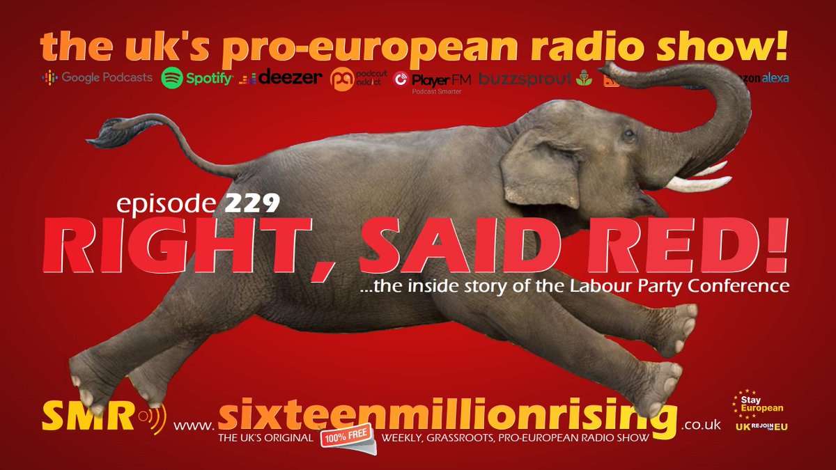 SMR 🎧 Rejoin Radio 📻 tweet media