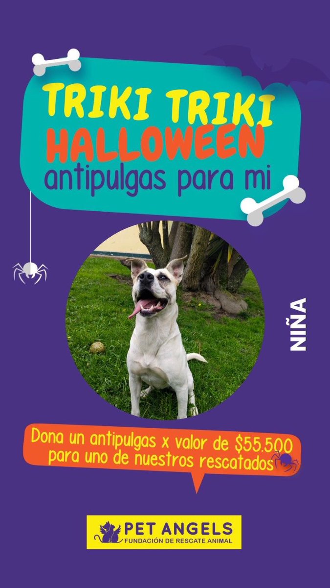 PetAngelsCol 🐱🐶 tweet media