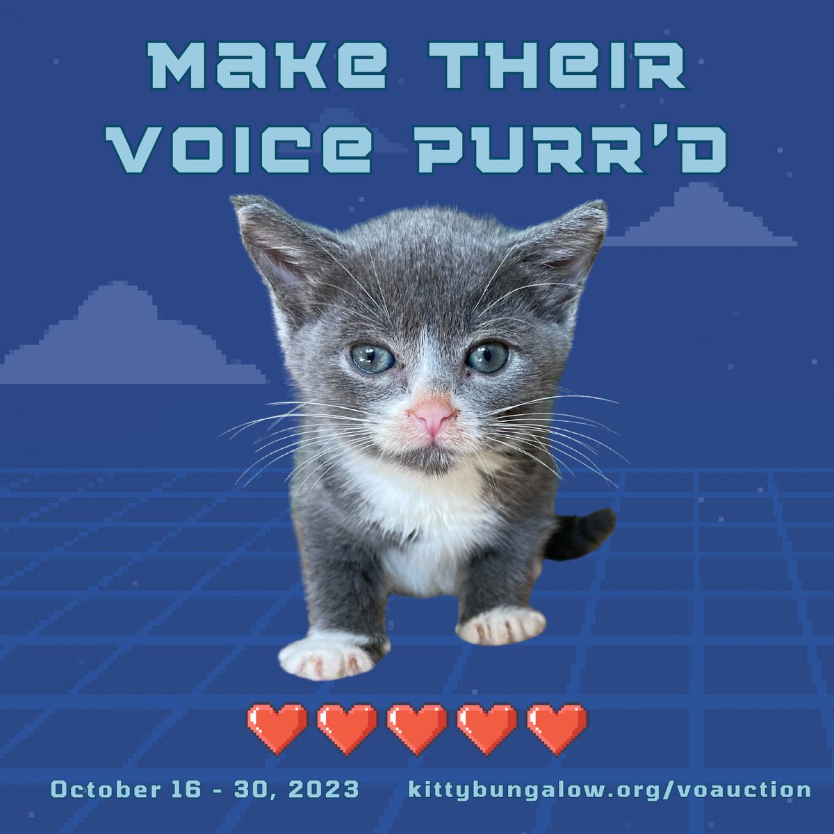 Starts today at 12 noon PST!! kittybungalow.org