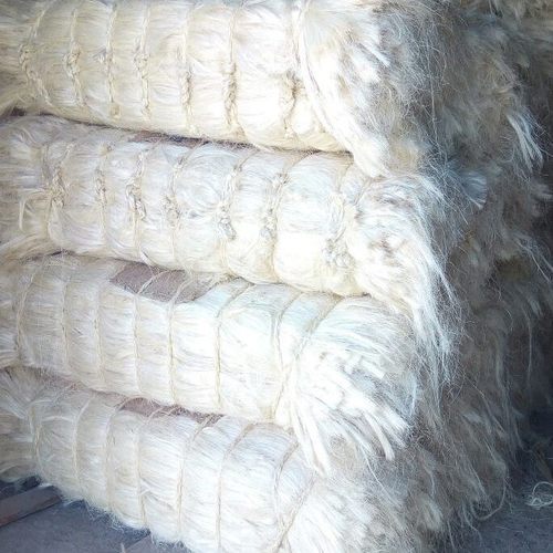 markenow68's tweet image. +254762664773...Available much quantity of Sisal fiber in our warehouse