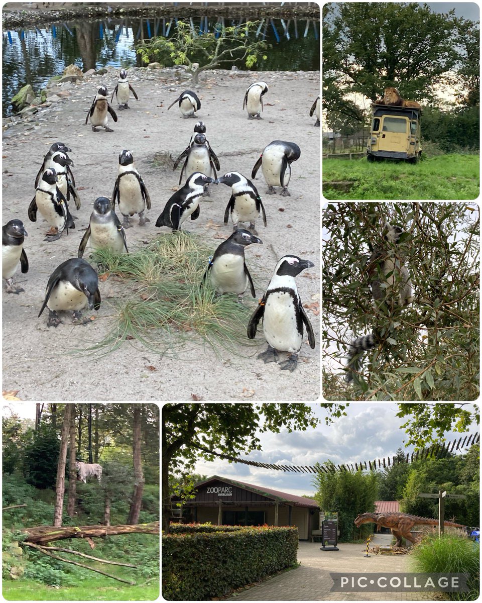 Wat een geluk! Commissievergadering grensoverschrijdende verstandhouding van <a href="/EuregioRijnWaal/">Euregio Rhein-Waal</a> was in <a href="/ZooParcOverloon/">ZooParcOverloon</a> Na afloop mooie rondleiding gekregen en uitleg over de samenwerking met Tiergarten Kleve.