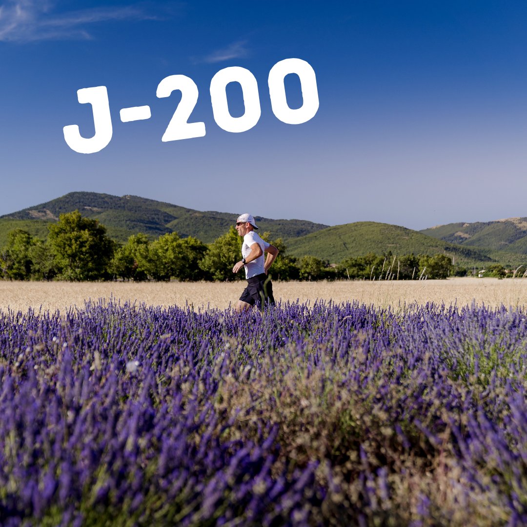 TraildeProvence's tweet photo. Il ne reste plus que 200 jours avant le THP 😍

Bénéficie de 10% automatique à l'inscription si tu as participé à un événement 2023 ou si tu t'inscris au THP winter !

Du mercredi 8 au samedi 11 mai 2024 !!
Inscription : https://t.co/reaOoFJZQ3 https://t.co/J7cgzwbp6D