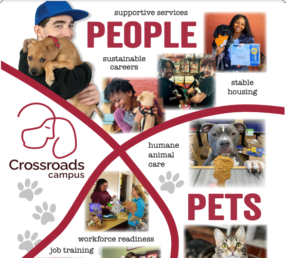 Nashville nonprofit focusing on the healing power of the human-animal bond. Job training, income-based housing, support services for young adults, adopt dogs and cats into forever homes. CrossroadsCampus.org.

#nashville #nonprofit #humananimalbond #jobtraining #housing