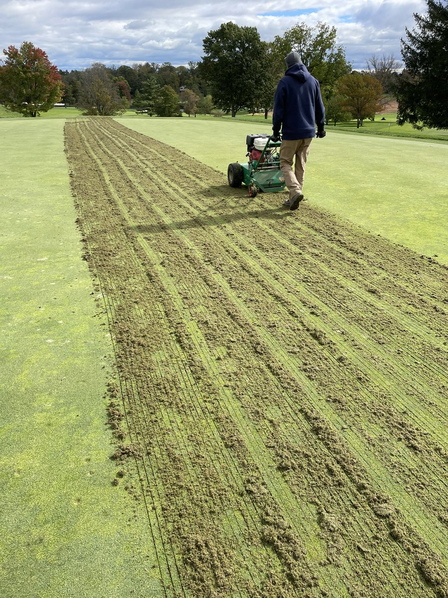 cschellerturf's tweet image. 