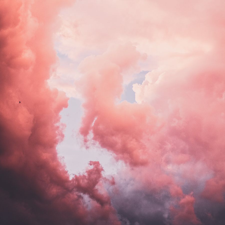 Second Sense tweet media