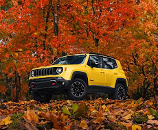 🍂🍁 Embrace the Cozy Vibes with Frank at Landers McLarty Dodge Chrysler Jeep Ram! 🍁🍂

Share your favorite fall-inspired activity below, whether it's sipping on apple cider, visiting a corn maze, or enjoying the fall foliage. Let's celebrate the season together! 🍎🌽🍂