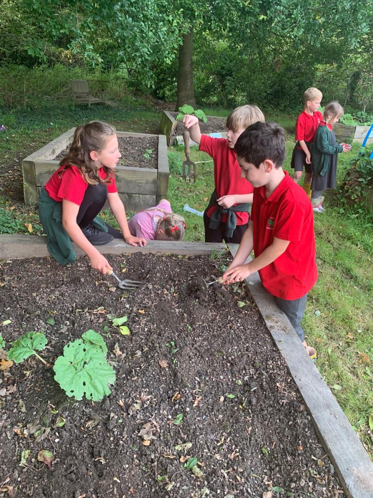 Plant Bl 3 a 4 wedi bod yn brysur heddiw yn yr ardd yn casglu'r ffrwythau olaf ac yn paratoi'r ardal tuag at y Gaeaf. Diolch i chi, blant. 🍃 🍂 🍓