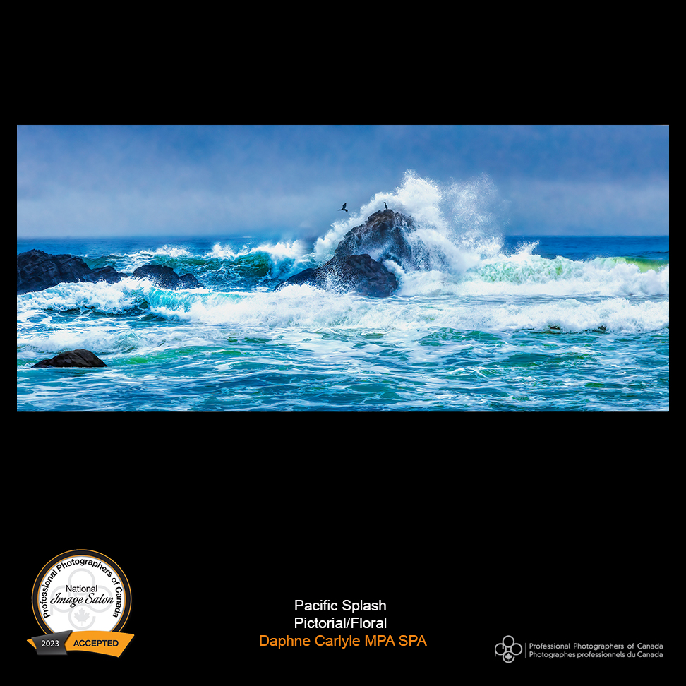 A  splash in the face we all need on Monday morning  This beautiful image is full of vibrant colours, water movement and some birds too!  "Pacific Splash" scored accepted at the 2023 Image Salon from the Pictorial/Floral class. Maker is Daphne Carlyle, MPA, SPA of Carlyle Art