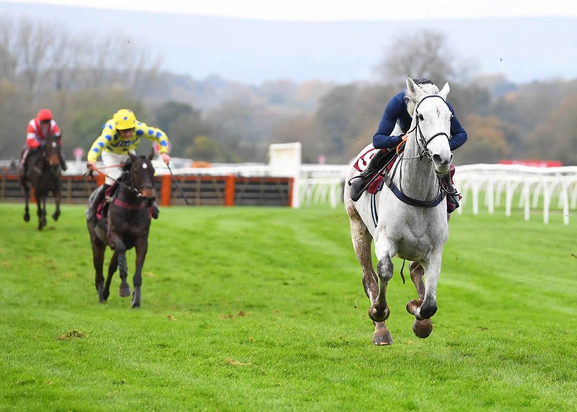 Happy Retirement Snow Leopardess! We were lucky enough to see Snow Leopardess here at Bangor-on-Dee when she won The Weatherby's nhstatillions.co.uk Handicap Chase 10th November 2021.