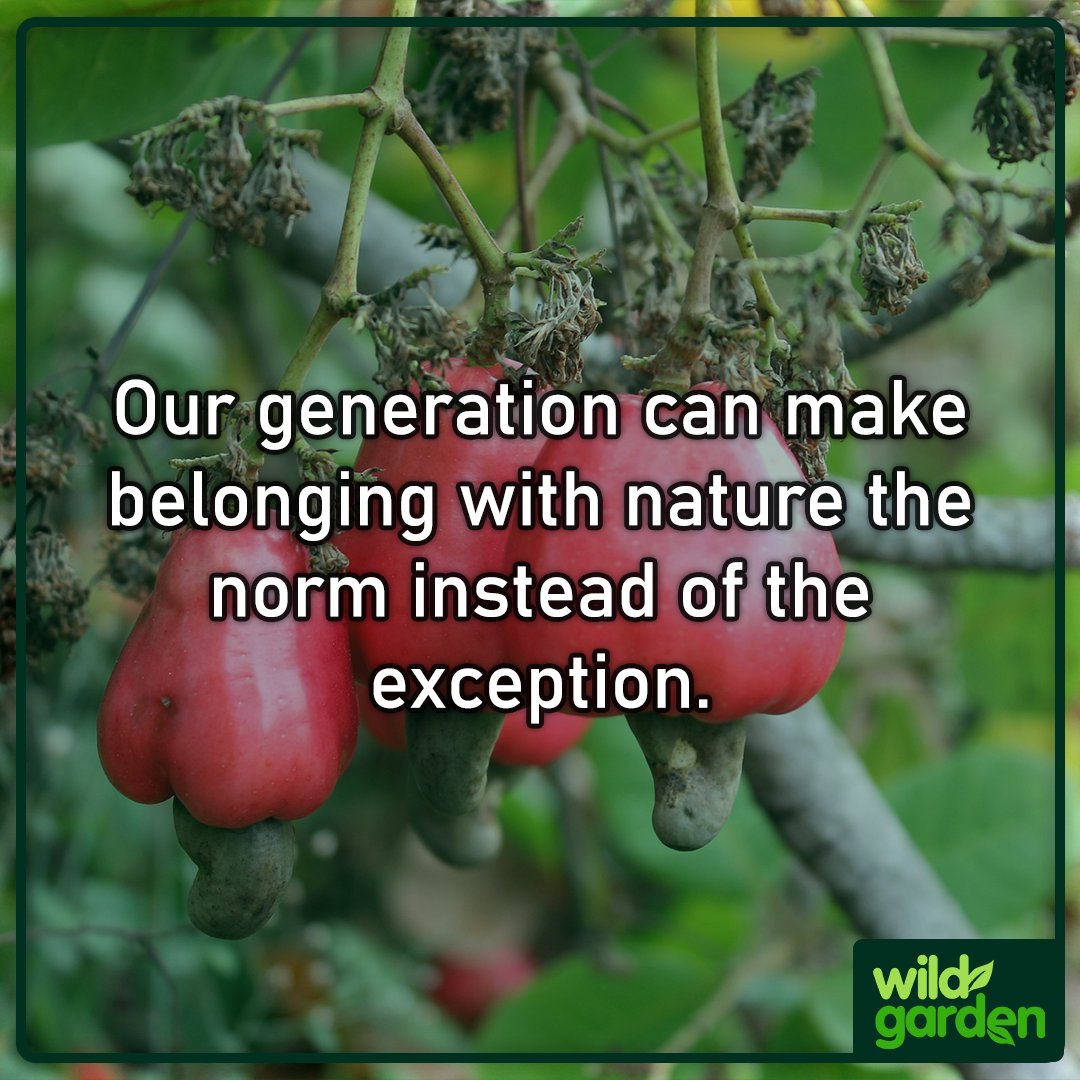 WildGardenEarth's tweet photo. Do you know about the importance of the culture of abundance?

In today's blog post, you can learn about how a cultural shift can improve our lives and why you should care.

Read here: https://t.co/MBW3It1A9K

#nature #garden  #rewilding #backyardbiodiversity #wildgarden https://t.co/tPdsbgmO6k