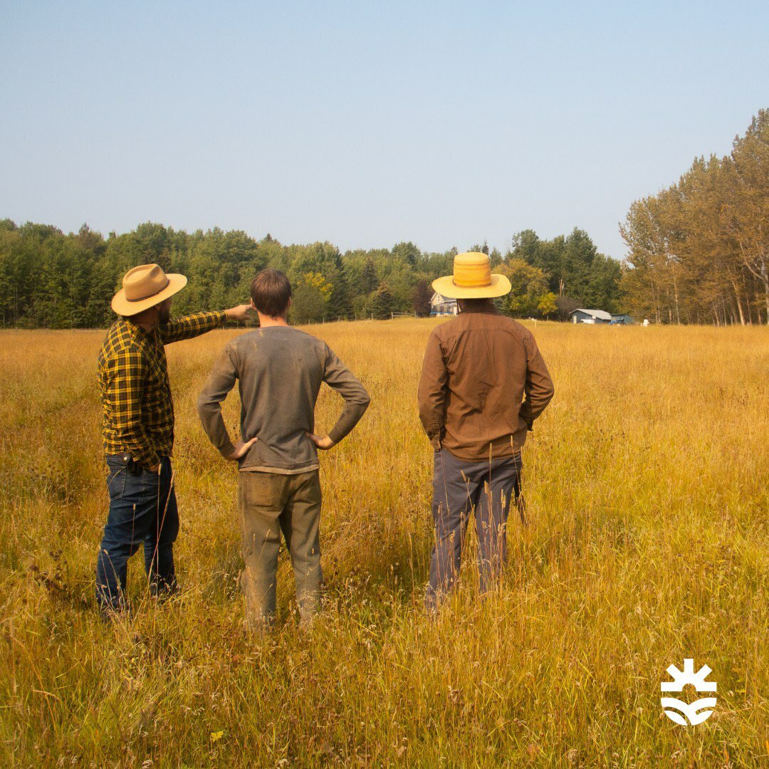 The Rise of Urban Escape: Millennials and Gen X Embrace Regenerative Living and Permaculture 
newswire.ca/en/releases/ar…
