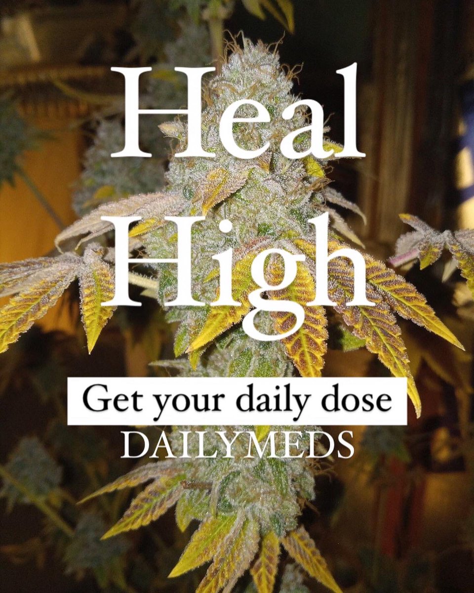 TooHighPiinney's tweet image. Get your daily dose. Be the leader of the pack. #hoorah 🍁🤙