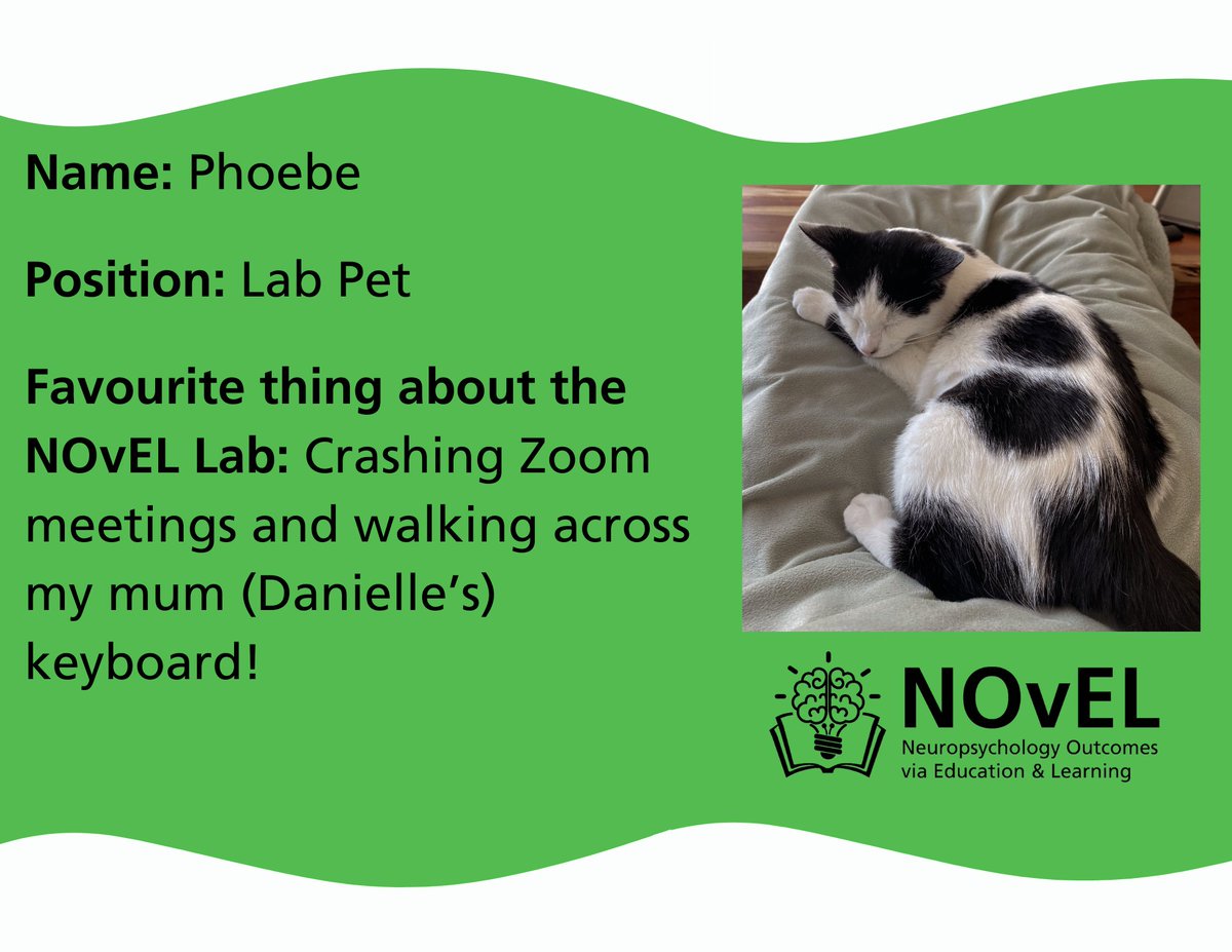 In our lab, we don't discriminate between humans and animals. Although a bit mischievous, Phoebe is a scientist in the making and a vital component of our lab. She's been helping <a href="/Danielle_Neuro/">Danielle DuPlessis</a> understand the causal link between petting and purring 🐈‍⬛💗
