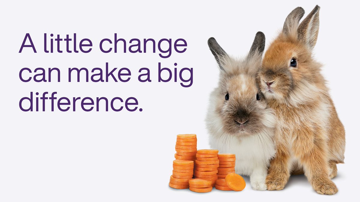 Join us in making a difference! Round your TELUS bill to the nearest dollar to empower youth and open doors to endless possibilities. 100% of proceeds support the <a href="/FriendlyFuture/">TELUS Friendly Future Foundation</a>. Take action now at telus.com/ChangeForGood and be a part of positive change! 💜 #TeamTELUS