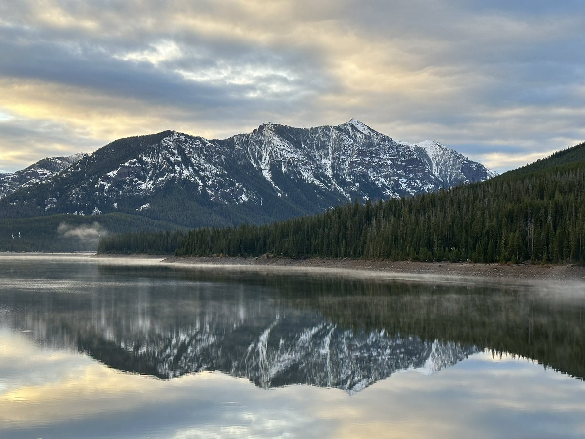 Andrew J  Wilson tweet media