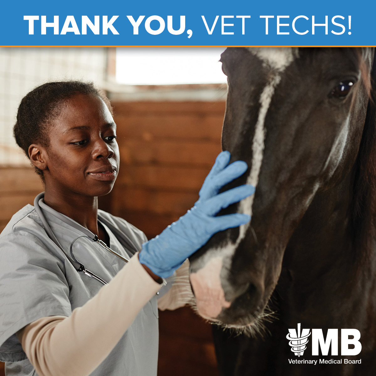 vetmedboard's tweet photo. Happy National Veterinary Technician Week! Did you know California has over 11,000 RVTs providing services to California's animals? #veterinarytechnicianweek #veterinarytechnicians https://t.co/sewyxBjKUw