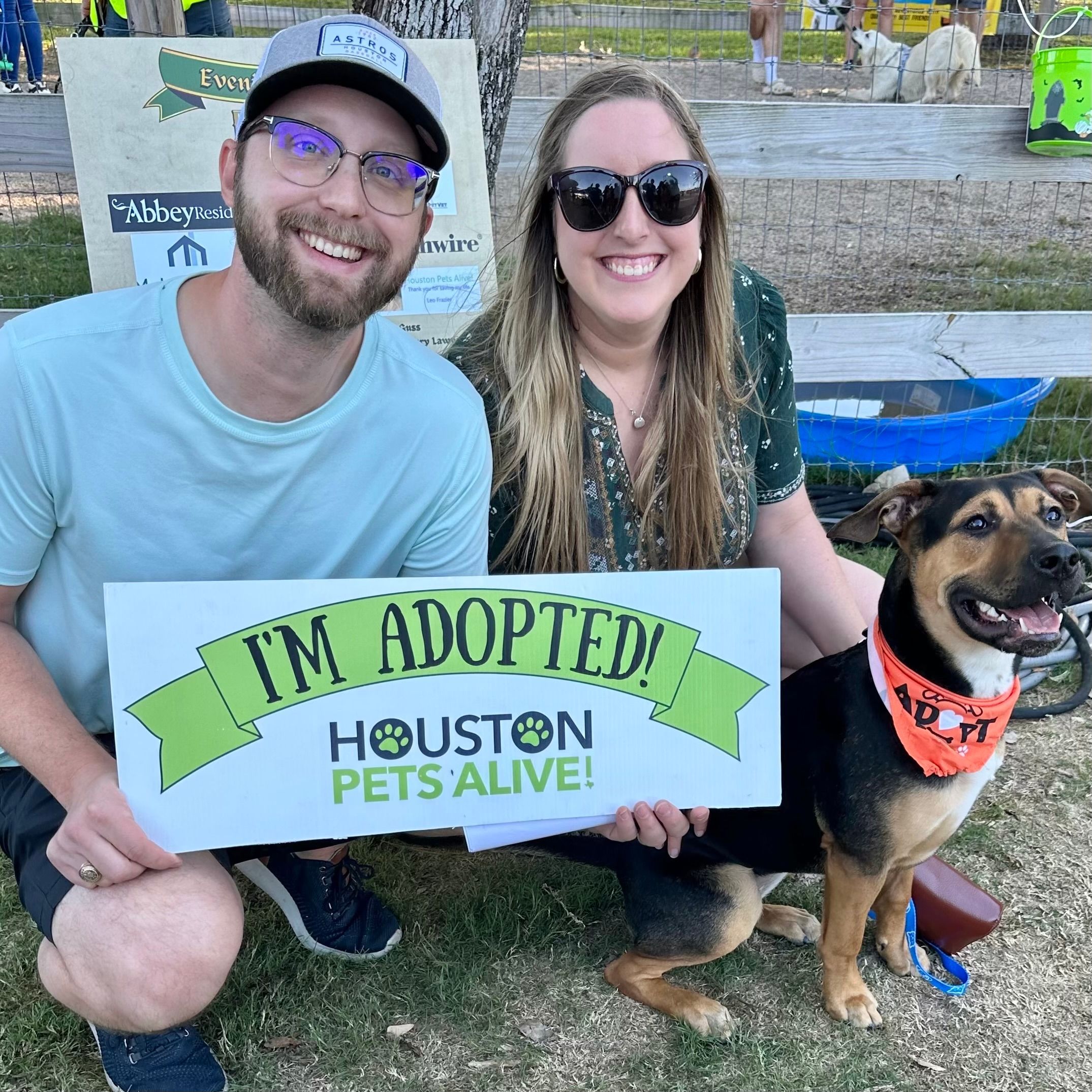 Houston Pets Alive!