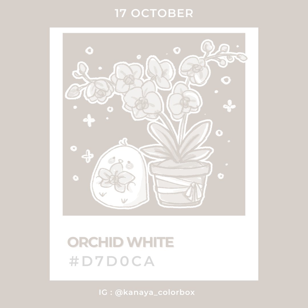 KaNaYa_KNa's tweet photo. 17 October | #d7d0ca
Orchid White | オーキッドホワイト
ออร์คิด ไวท์ / กล้วยไม้ ขาว
https://t.co/nZxBUfzvV6
─────────────────────
#Birthday_Color
#17October #10月17日
#kanaya_colorbox_challenge https://t.co/XM0YX4AKob