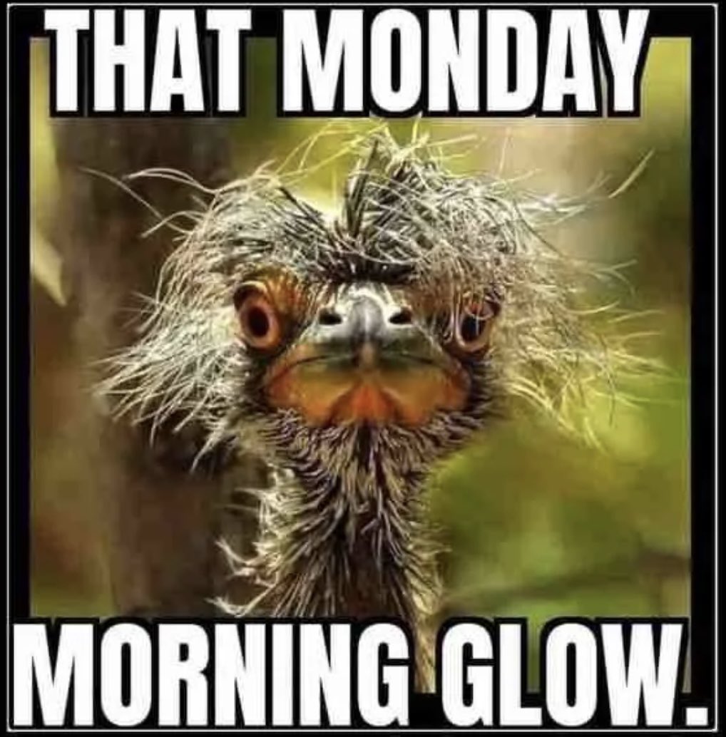 Katie Eves tweet media