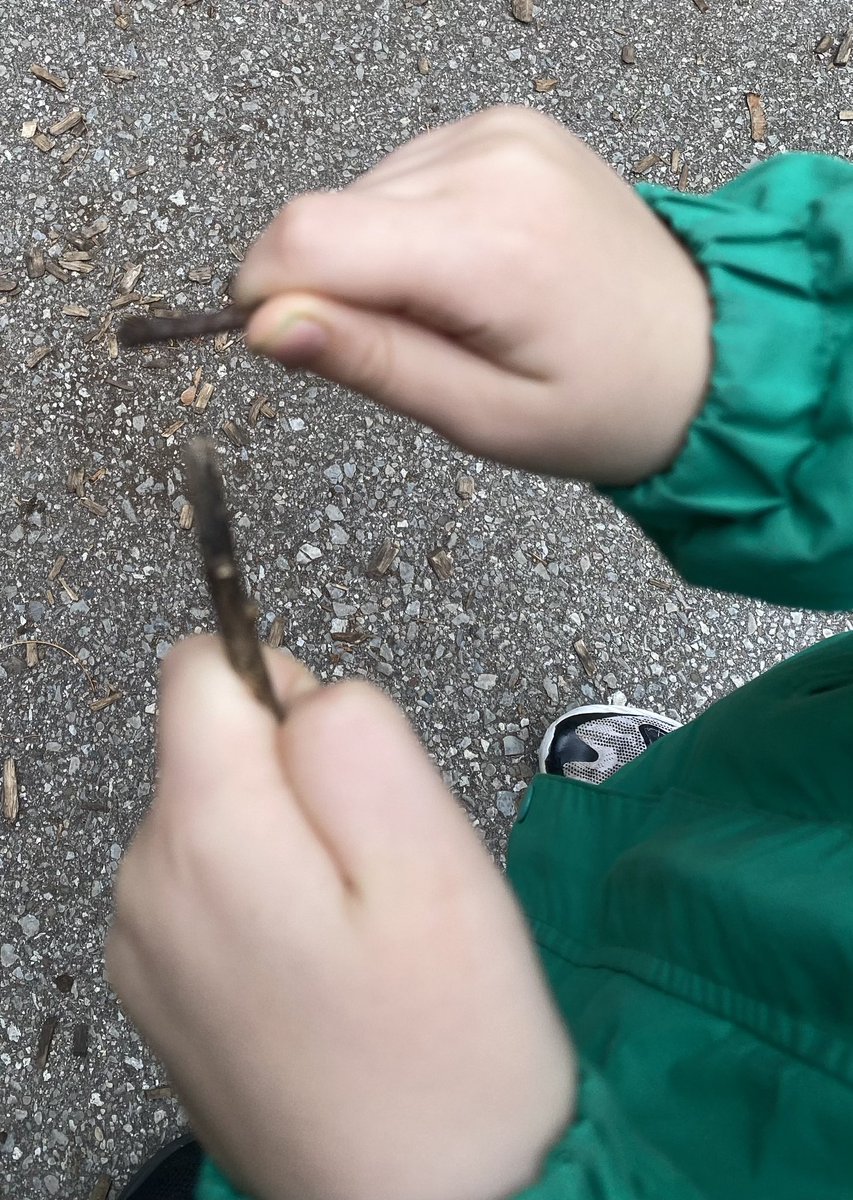 johnsonfamadv's tweet photo. @dp_EarlyYears We made so many predictions for Day 1 of the #Kinderbioblitz We thought we would discover: leaves, wind, skunks, squirrels &amp; rabbits. During #outdooreducation time we heard “wind blowing, making a leaf sound” and “so many ladybugs!” https://t.co/v3IvY6XTsS