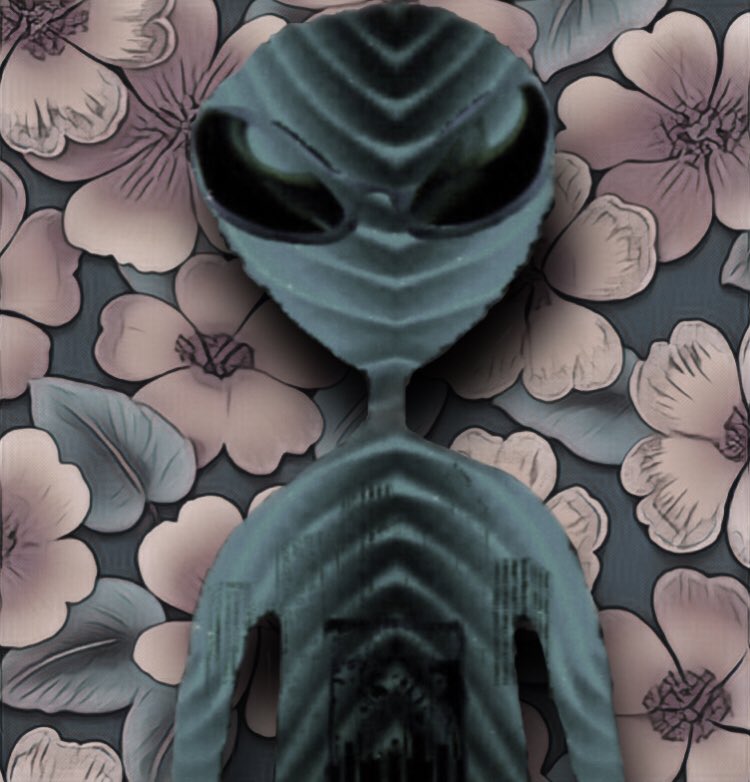 Reptilian & Skinerx NFT👽🛸 tweet media