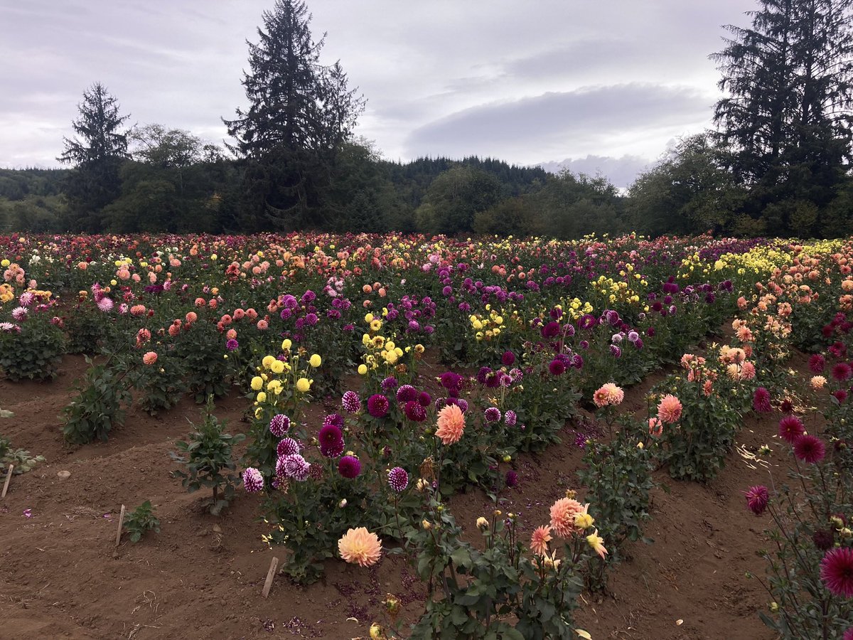 𝔥𝔢𝔵𝔱𝔞𝔭𝔢𝔰 tweet media