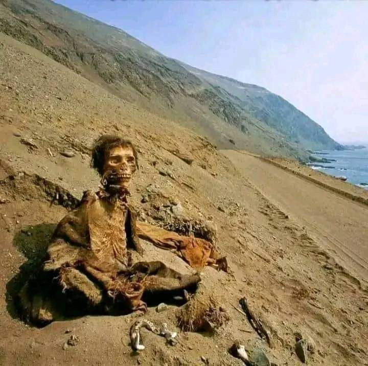 عاموس قبّاص آل سالم - תימני tweet media
