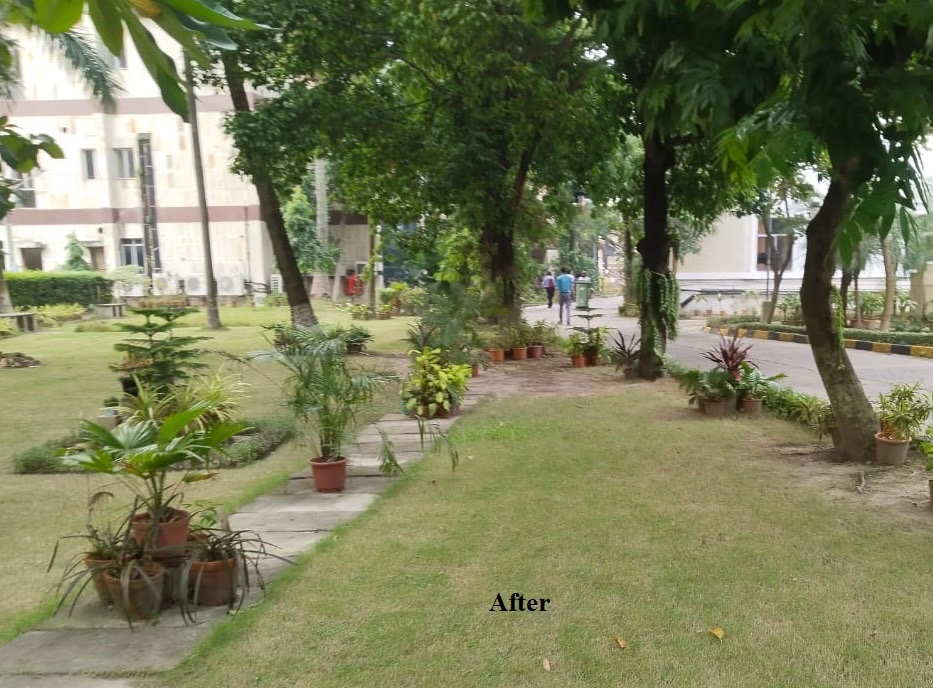 Under the Special #Campaign 3.0, Implementation Phase, the Garden Area inside IACS campus was cleaned and beautified on 16.10.2023.#SwachhataHiSeva @IndiaDST @DARPG_GoI @SecretaryDST @SecretaryDARPG