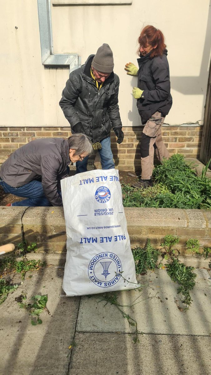 Our volunteers making good use of sacks donated by <a href="/southwarkbeer/">Southwark Brewing</a> while supporting one of our Green Hub sites. A lovely sustainable union of recycling and green waste collection! Beer powering community action - thank you! #sustainability #gardening