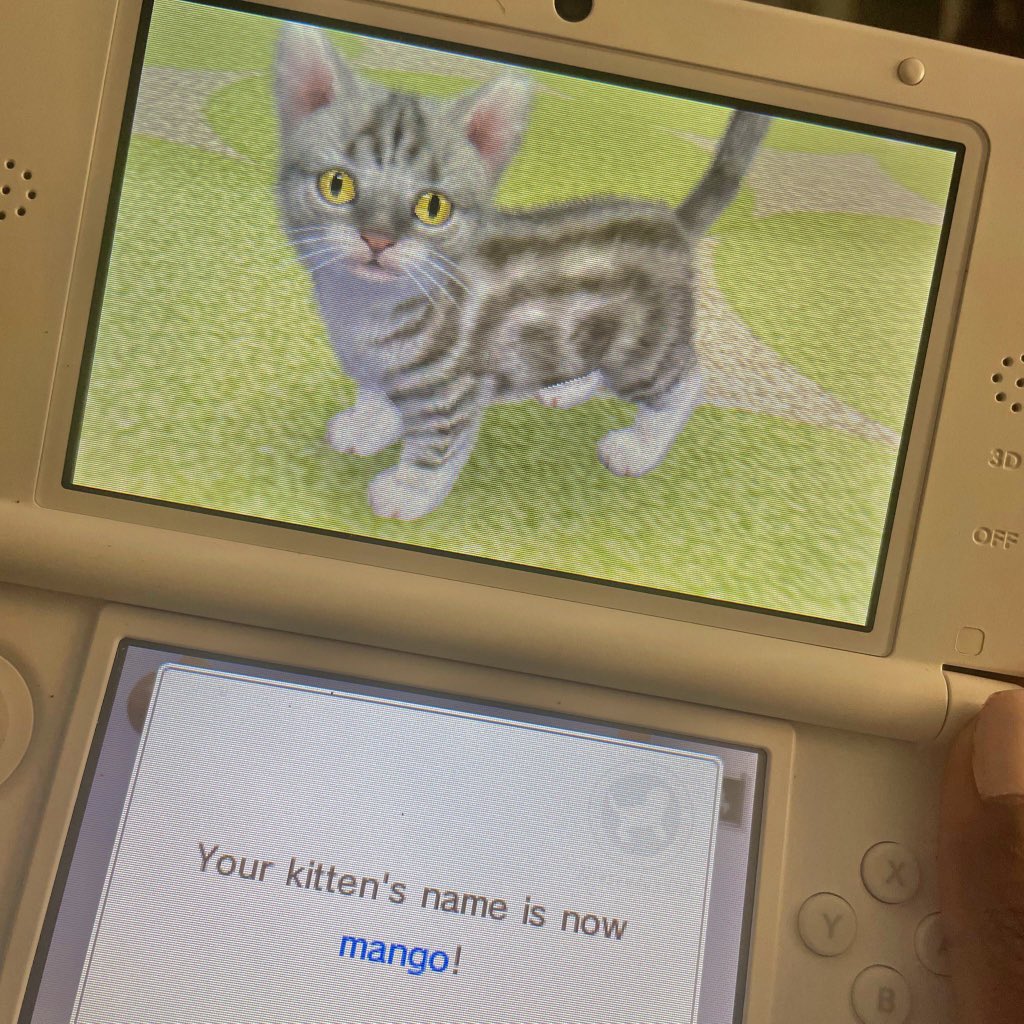 letspetkittens's tweet image. my kitty on nintendogs + cats🐾