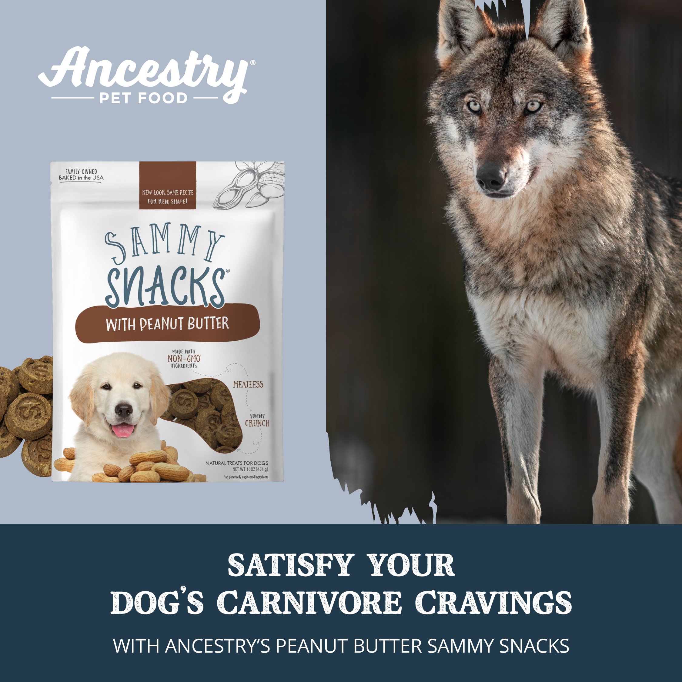 Ancestry hotsell dog food