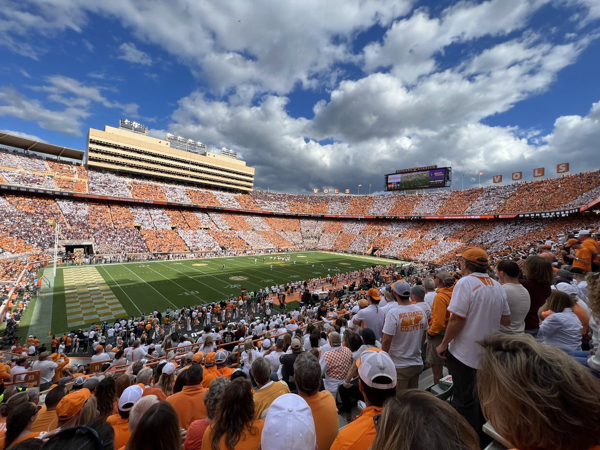 🍊VFL Rose tweet media