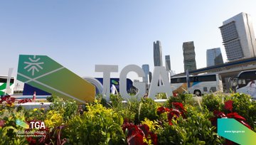 الصورة