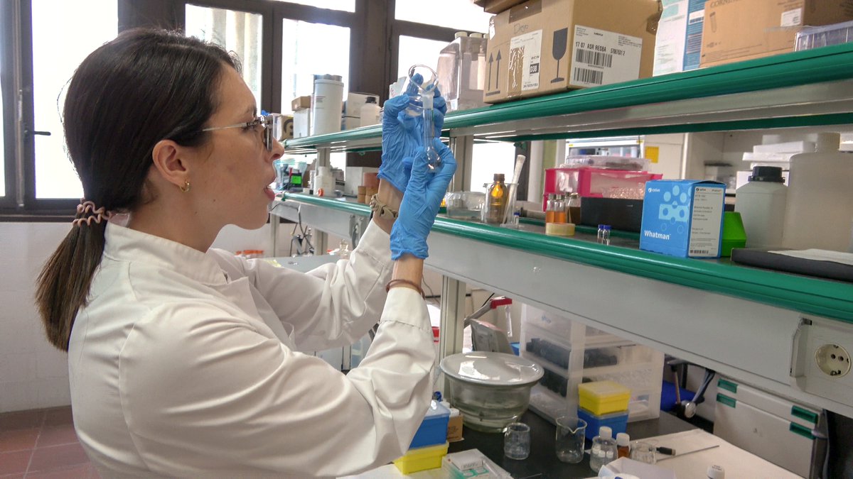 CienciaULL's tweet photo. 📽️ Hoy hemos entrevistado a la doctora en Química de la @ULL María José Trujillo para la 4ª temporada de la serie divulgativa, #ChicasconCienciaULL

El testimonio de Trujillo también ayudará a fomentar las vocaciones científicas entre las jóvenes canarias 👩‍🔬

#FundacionCepsa https://t.co/9kkOhWHhmZ
