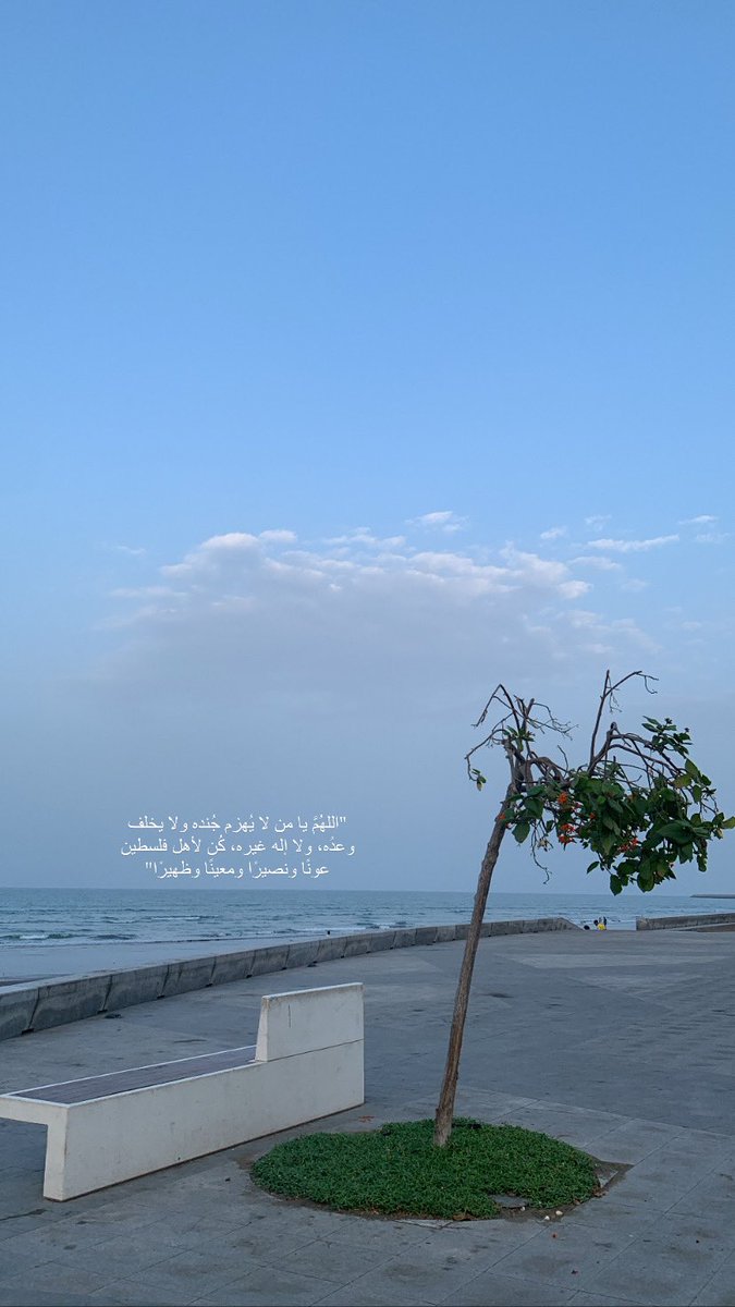 AlThurayastar's tweet photo. #غزه_الان https://t.co/JEj7BAWswJ