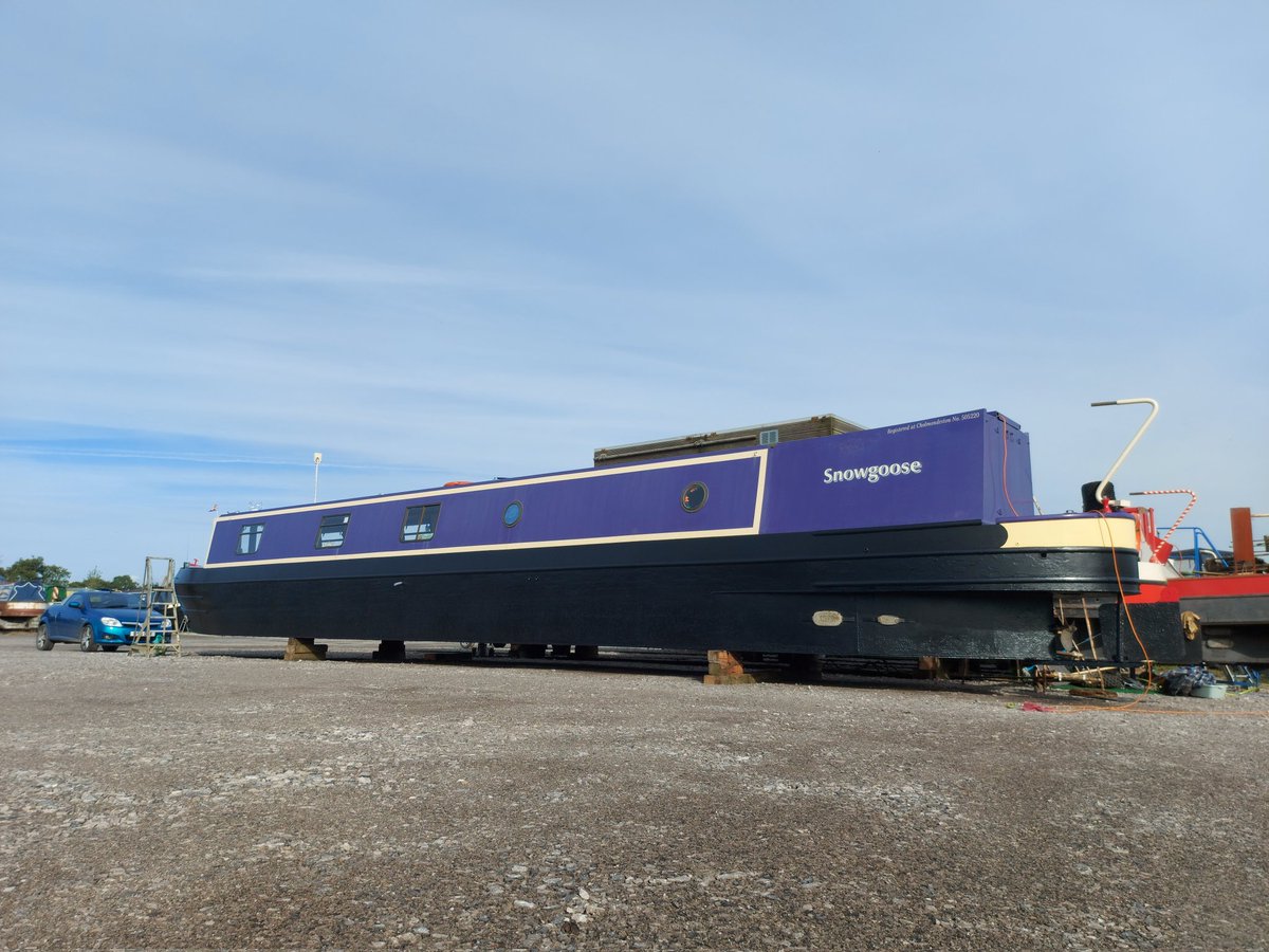 𝔻𝕒𝕧𝕚𝕕 𝔹𝕣𝕒𝕞𝕝𝕖𝕪 𝐧𝐛 𝐒𝐧𝐨𝐰𝐠𝐨𝐨𝐬𝐞 tweet media