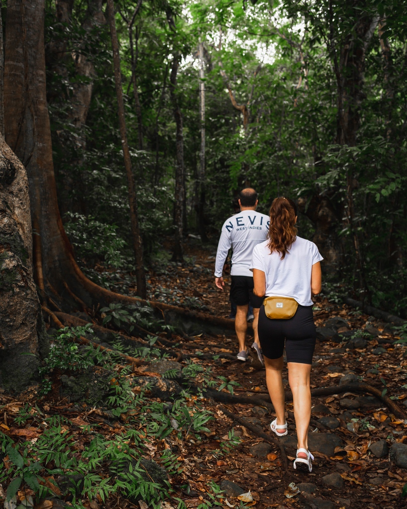 NevisNaturally's tweet photo. Kickstart your week with a warm invitation to our tropical paradise. Nevis beckons you to embark on an unforgettable adventure where relaxation and exploration go hand in hand.
#discovernevis #tropicalparadise #nevisnaturally #nevis #stkitt #caribbeantravel #islandadventure https://t.co/O3nEs880Ts