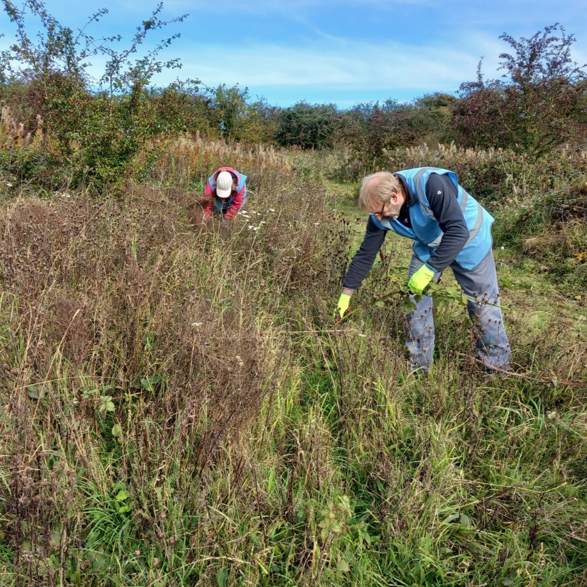 coast_care's tweet photo. The volunteers did a sterling job on nature reserve habitat management recently. Here's the team cutting vegetation, clearing brambles and brushcutting to improve grassland, encourage wildflowers &amp; make the area better for the grazing exmoor ponies! #volunteer #aonb #conservation https://t.co/Oq22JPjj1i