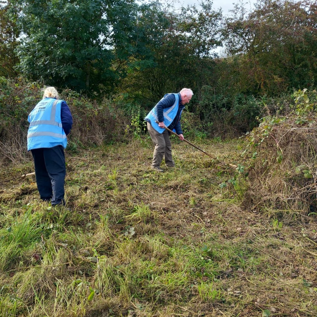 The volunteers did a sterling job on nature reserve habitat management recently. Here's the team cutting vegetation, clearing brambles and brushcutting to improve grassland, encourage wildflowers & make the area better for the grazing exmoor ponies! #volunteer #aonb #conservation