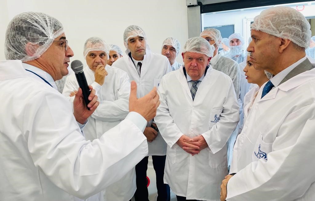 Katrine From Høyer tweet media