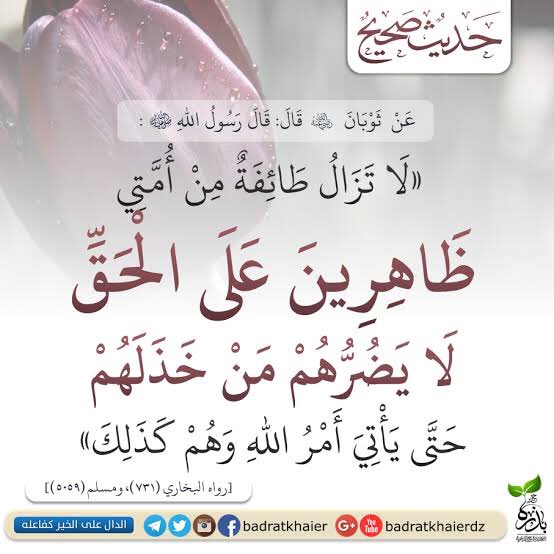 في الحديث النبوي الشريف :" لا يضرهم من خذلهم" يعني الخذلان من نصيب شعبنا ولكن سبقه أمر رباني بعدم الضرر من الخذلان ، اللهم لك الحمد على رحمتك ونعمك ونصرك 
#طوفان_الاقصى