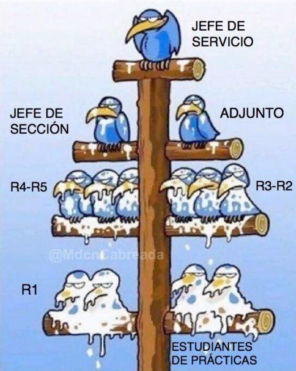 EL ORGANIGRAMA DE TODOS LOS HOSPITALES