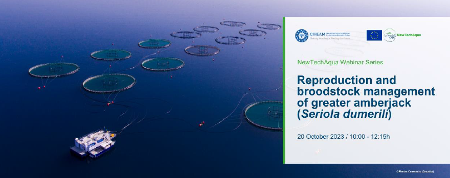 CIHEAM Bari tweet media