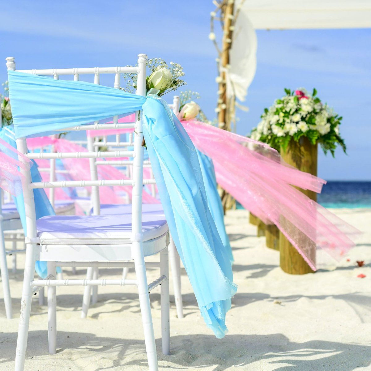 SingularSet's tweet photo. 🌊✨ Transformamos cada rincón en magia pura. Deja que el azul del océano y el rosa de los sueños adorne tu momento especial con SingularSet. Cada evento merece ser único. 🎀🌺 #EventosConEsencia #SingularSet #DetallesInolvidables https://t.co/Y5IBoW8R8M