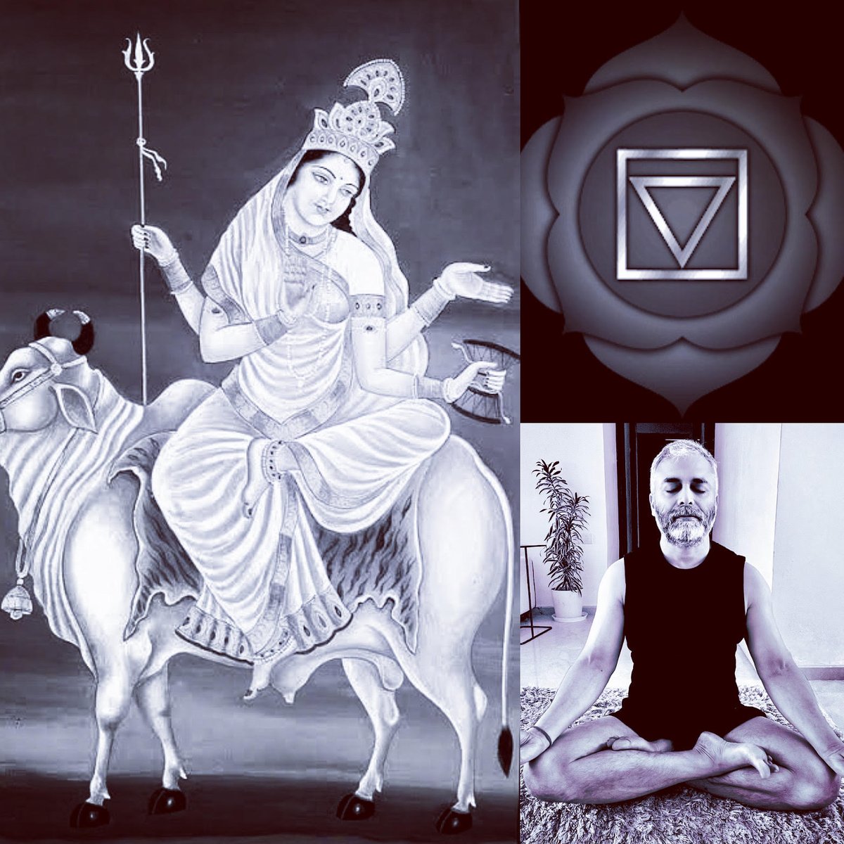 1st day of #navratri is the #yogic #start to reach higher and further higher, for spiritual evolution, and for the attainment of #siddhi. Today, 1st day - is day of #mother #Shailaputri who is the #muladhara #shakti to be realized within #self and sought for higher depths of