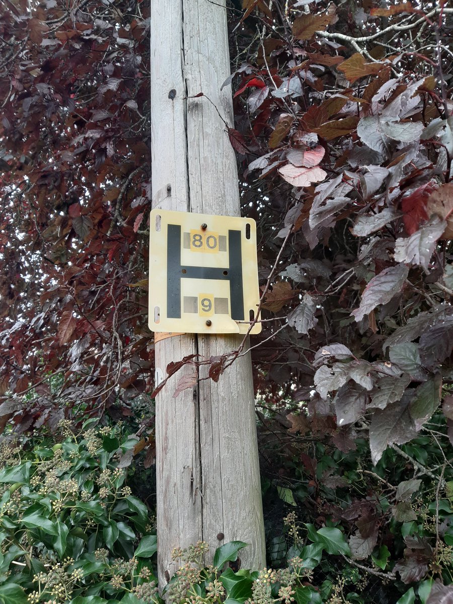 HWFRSHydrants's tweet photo. Out checking hydrants in and around Castlemorton today. Where possible please try and avoid obstructing  a hydrant. There's usually  a marker nearby and we try and keep them visible to help the crews to find them in an emergency, and so that road users can see their position. https://t.co/K40t9ii9jP