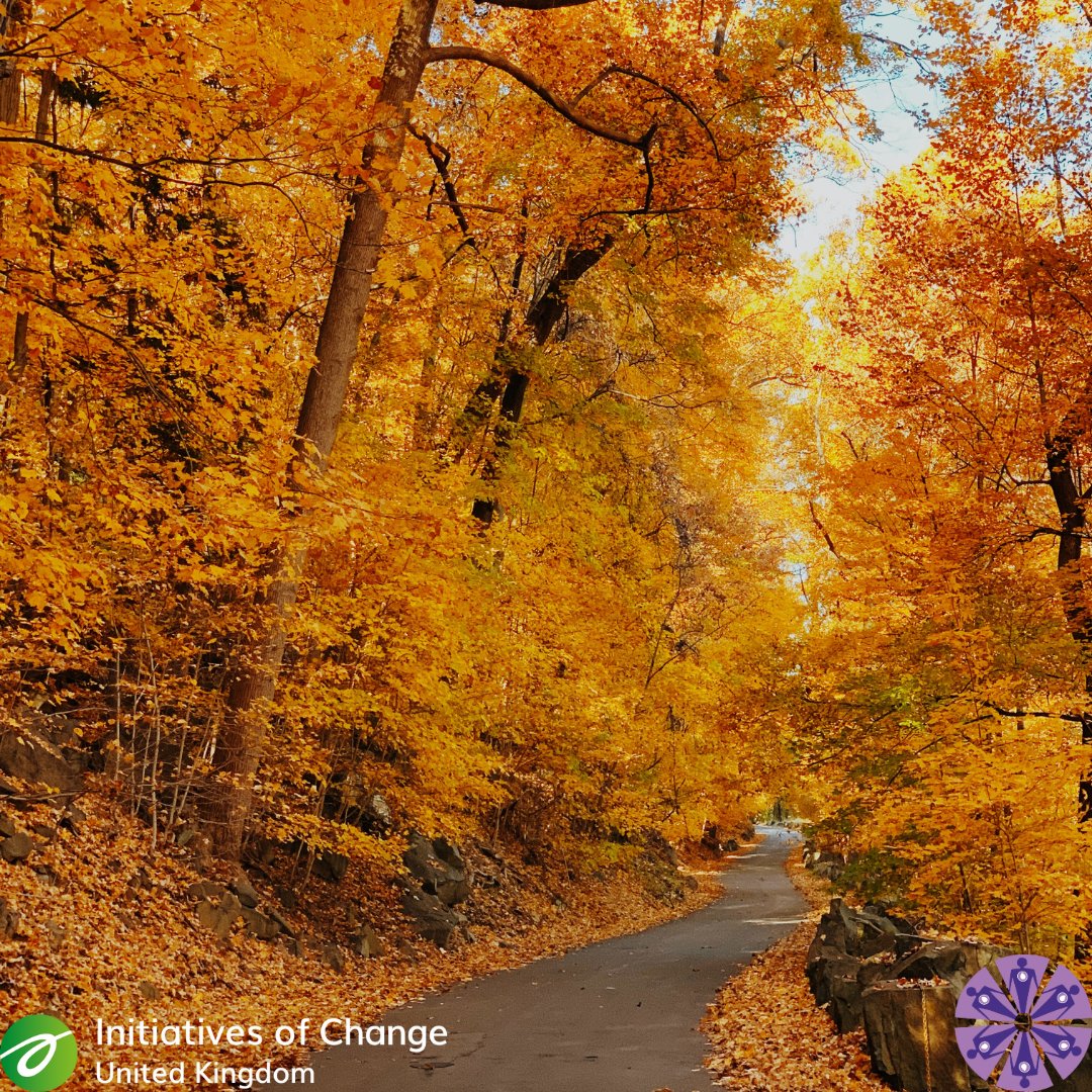 Creators of Peace UK tweet media